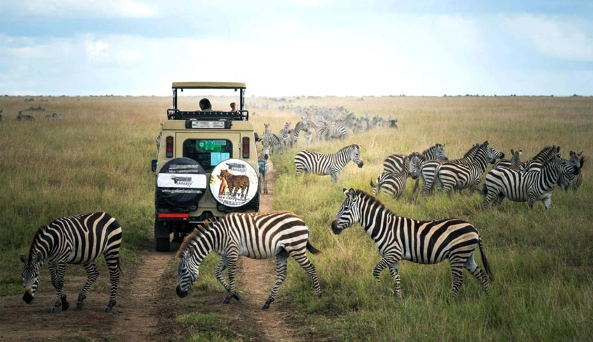 Safari-in-Africa